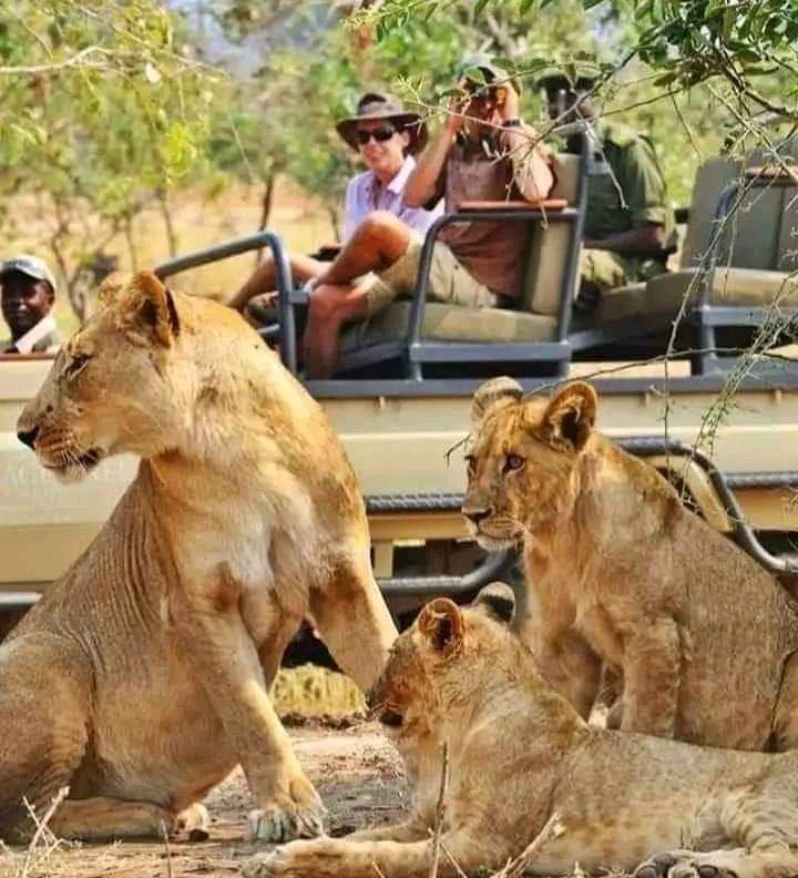 Mnemba Island Excursion