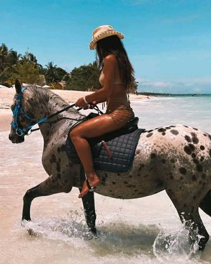 Mnemba Island Excursion