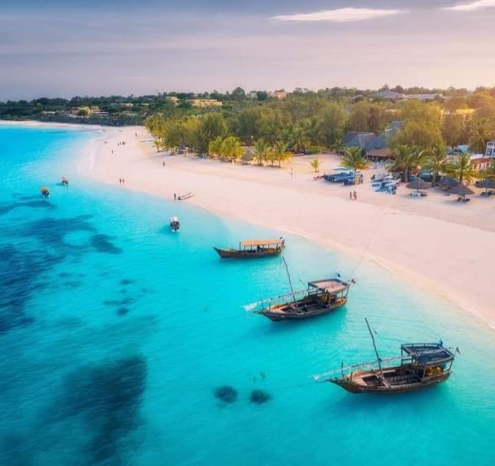 Mnemba Island Excursion