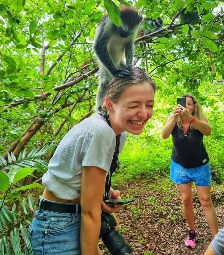 Mnemba Island Excursion