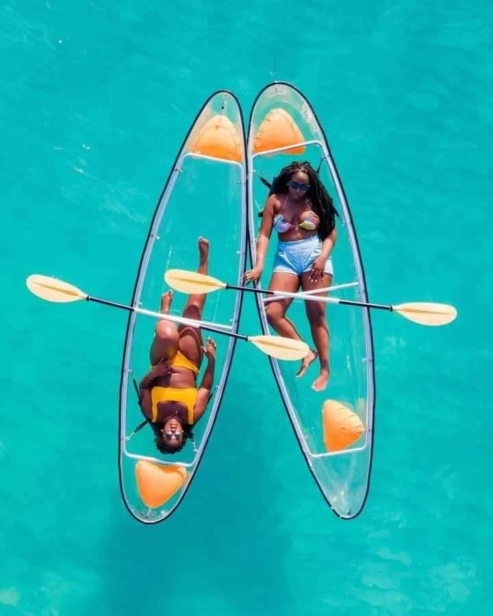 Mnemba Island Excursion