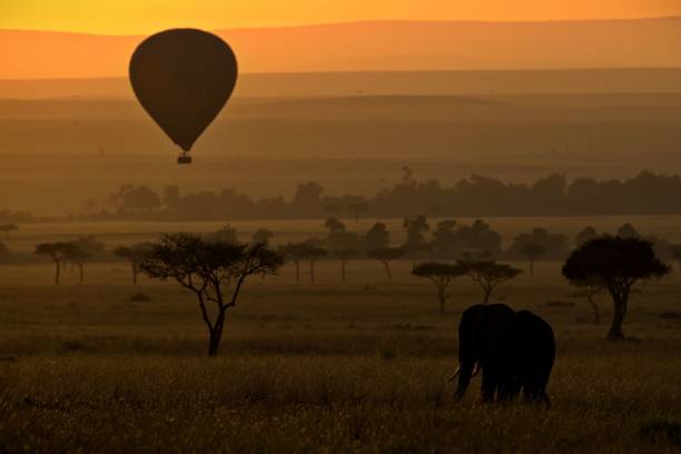 Hot Air Balloon Safari