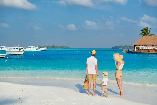 Dolphin Watching Safari