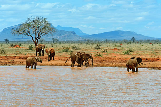 Lake Manyara National Park