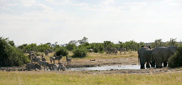 Tarangire National Park