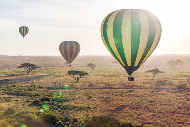 Hot Air Balloon Safari